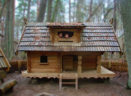 wooden-house.jpg